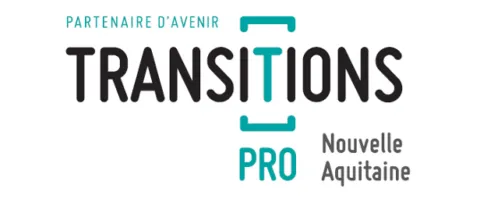 Transition pro